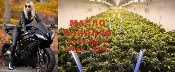 хмурый Касимов
