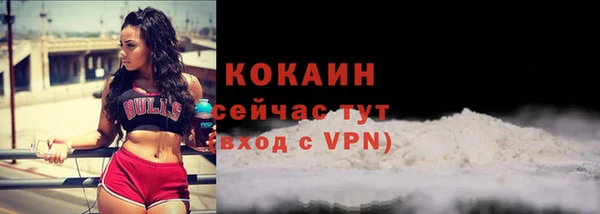 ECSTASY Карпинск