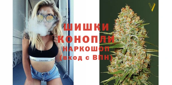 хмурый Касимов