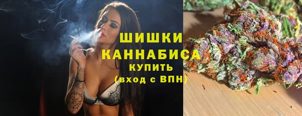 хмурый Касимов